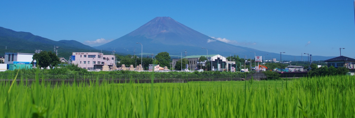 自然の景色